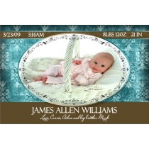 Newborn Baby Birth Announcement 4 (blue)